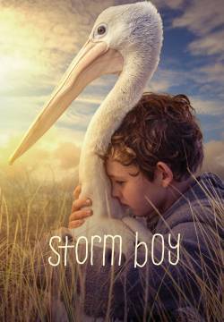 Storm Boy